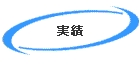 実績